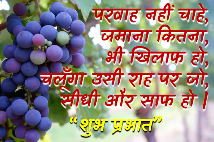 परवाह नहीं चाहे,