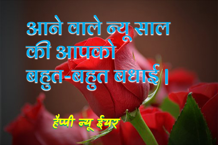 न्यू साल 