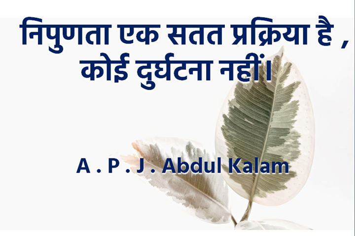 निपुणता