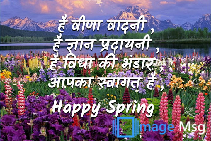 वीणा वादनी