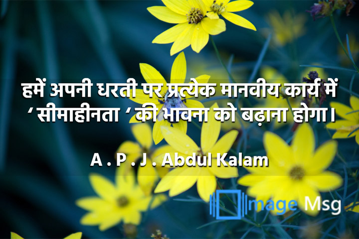 सीमाहीनता 