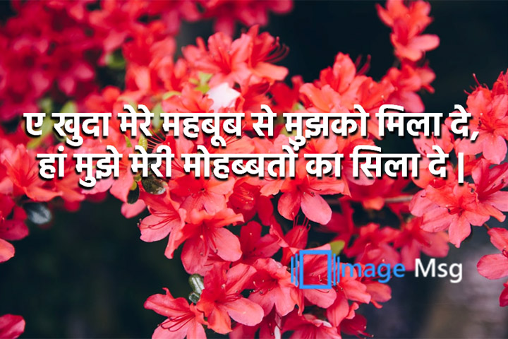 मोहब्बतों 