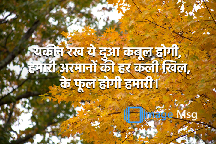 अरमानों 