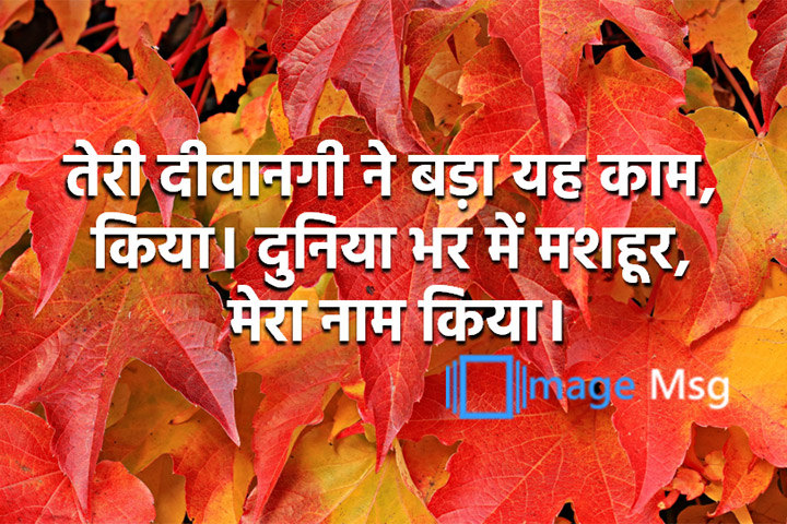 दीवानगी 