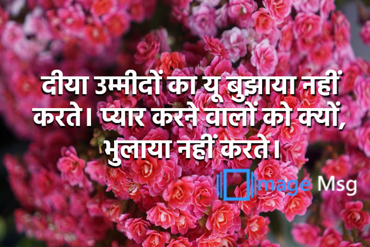 उम्मीदों 