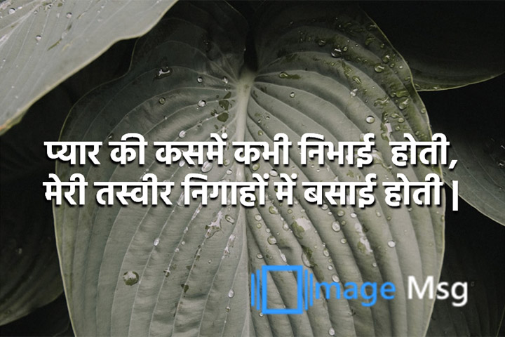 निगाहों 