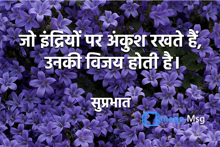 इंद्रियों 