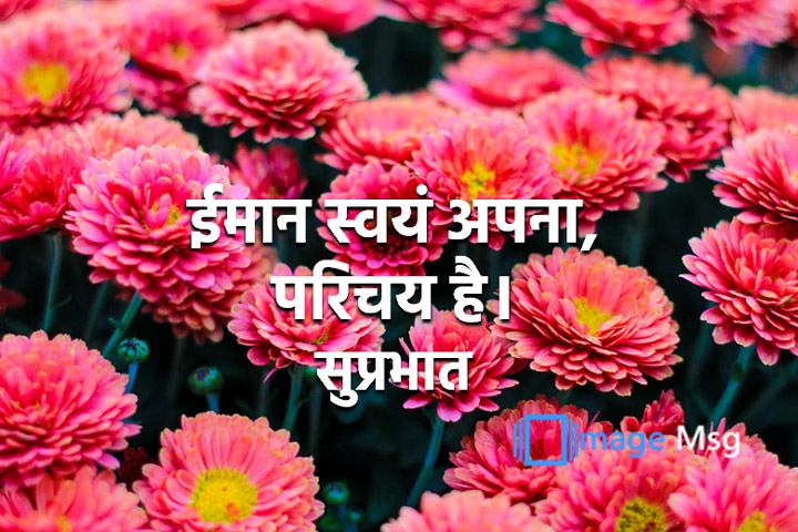 परिचय 