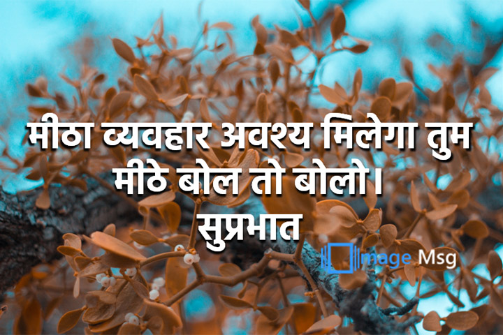 व्यवहार 