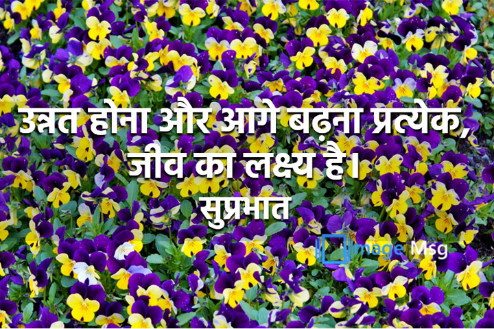 शांत रहो