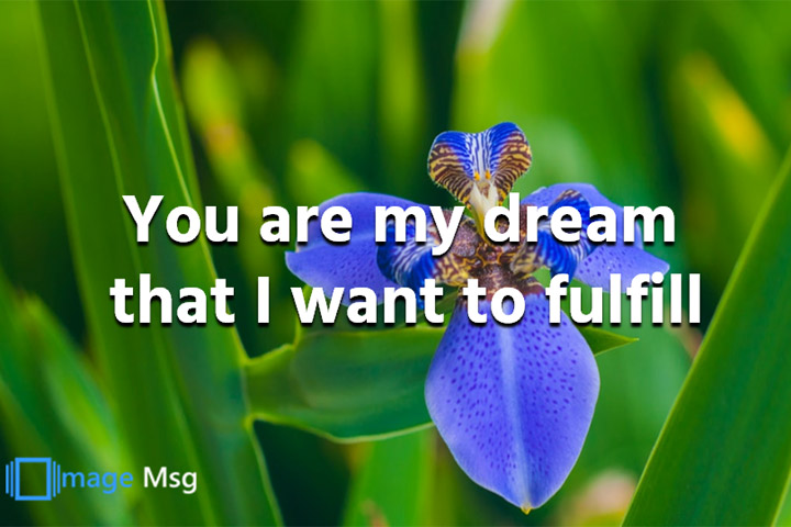 शांत रहो