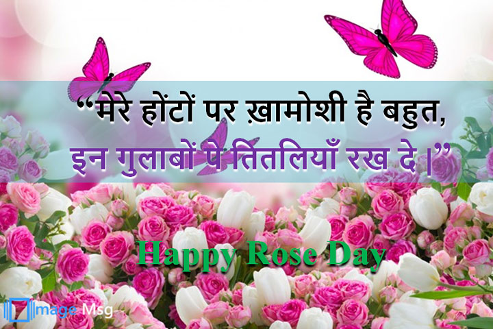 गुलाबों पे तितलियाँ