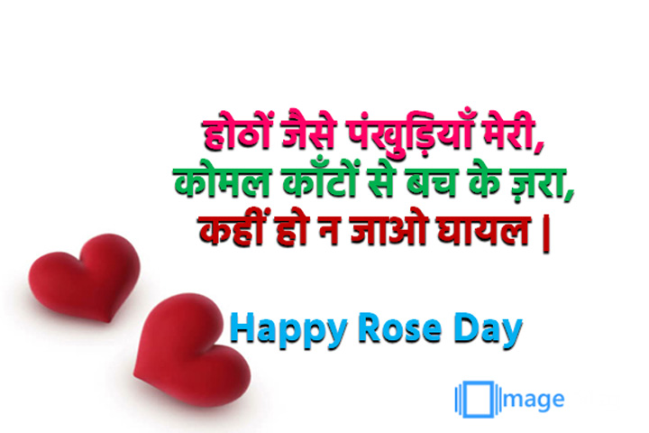 कोमल काँटों