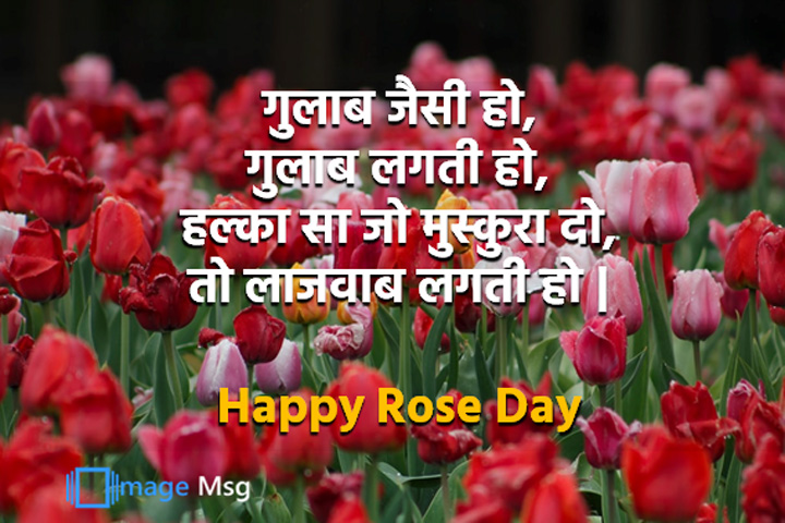 शांत रहो