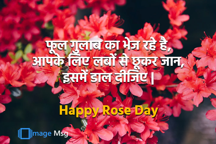 शांत रहो