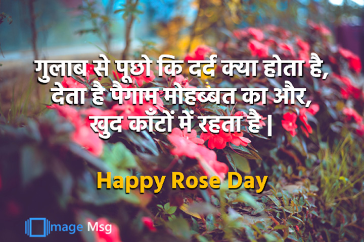 शांत रहो