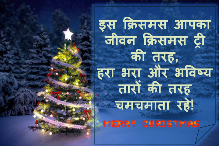  क्रिसमस ट्री 