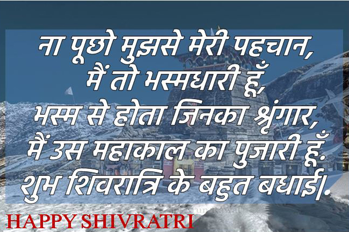 भस्मधारी