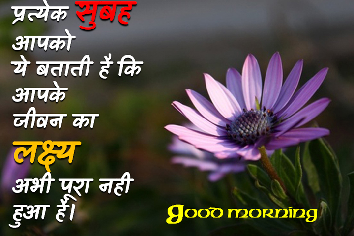 जीवन का लक्ष्य