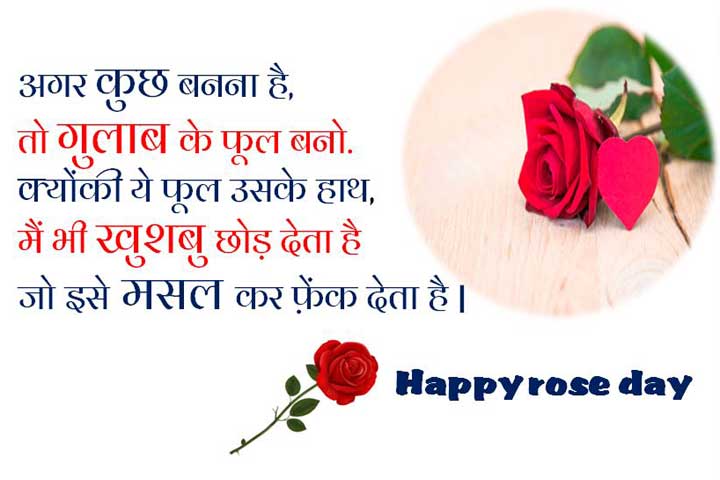 गुलाब के फुल.....