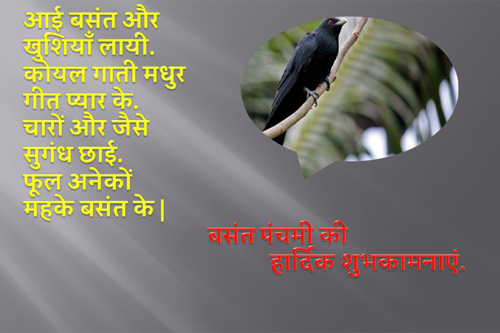 कोयल गाती