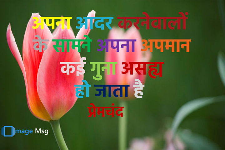 आदर करनेवालों 